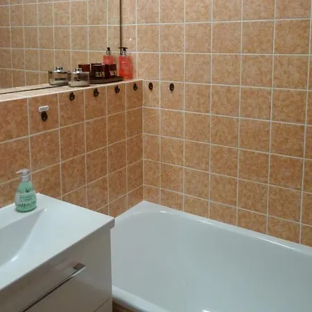 Apartment Blick Ins Gruene Braunlage